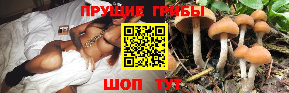 купить закладку  Галлюциногенные грибы мицелий  Вход с VPN  Удомля 